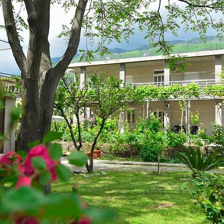 Apartmani Mihovic - Jaz Budva Exteriér fotografie